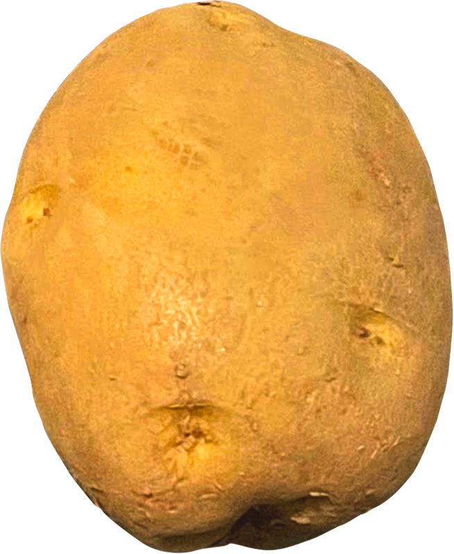 potato image